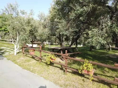 Il Mandorlo Farm - 12