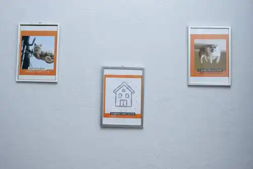 UNEED First Hostel - 17