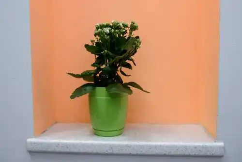 UNEED First Hostel - 38