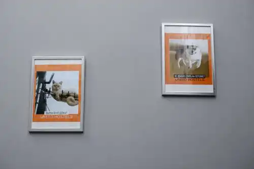 UNEED First Hostel - 62