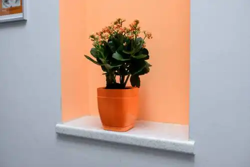 UNEED First Hostel - 67