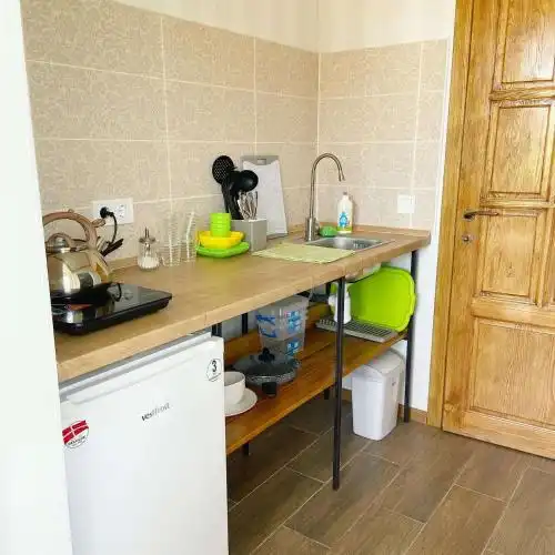 Green House Gribovka - 20