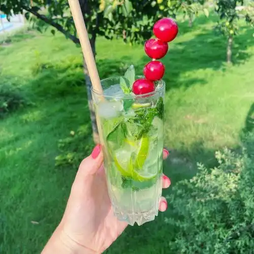 Green House Gribovka - 19
