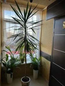 Готель ПАРК - 7