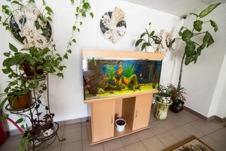 Санаторий Журавушка - 10