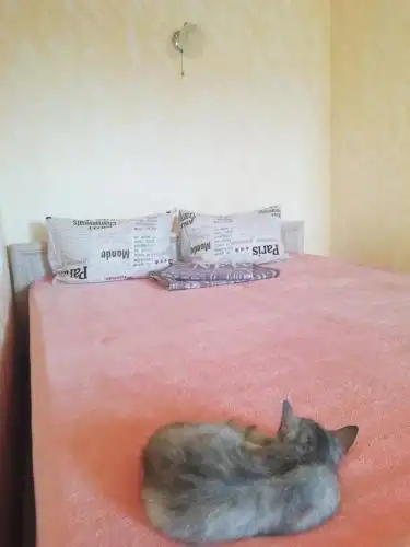Guest House Tatyana - 11
