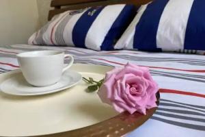 Dom u morya i nedaleko ot tsentra Odessy Guest house, Kryzhanivka