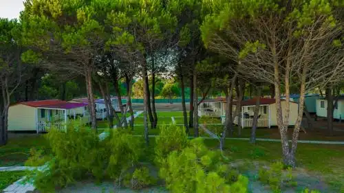 HILLS RESORT Beach & Bungalows & Bar - Baldachin included - 4