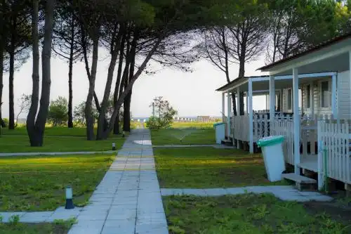 HILLS RESORT Beach & Bungalows & Bar - Baldachin included - 19