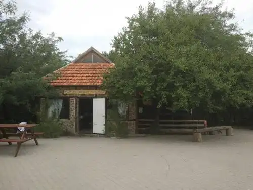 New Vasyuki - 29