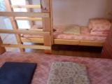 Bed in 8-Bed Dormitory Room