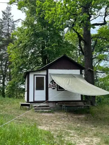 База відпочинку Енергія - 8