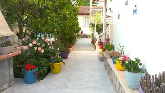 Dalyan Casablanca - 10