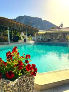 Dalyan Casablanca - 12