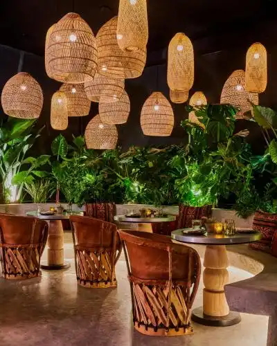 tommie Hollywood, part of Jdv by Hyatt - 26