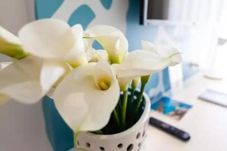 Modica Beach Resort - 58