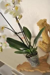 B&B Mare e Templi - 29