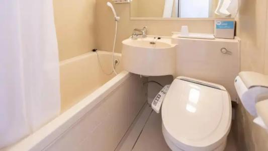 Toyoko Inn Hokkaido Sapporo-Eki Nishi-Guchi Hokudai Mae - 31