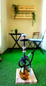 Backpackers DXB - 17