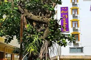 durkaya Mini-hotel, Manavgat