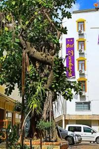 otel durkaya - 0