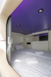 Capsule Constellation 91 - 5