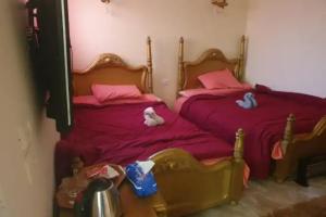 Jana Pyramids View Inn, Cairo