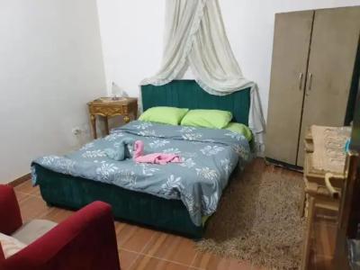 Jana Pyramids View Inn - 4