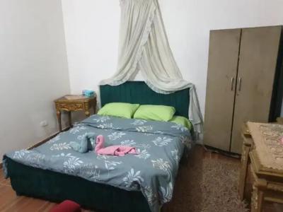 Jana Pyramids View Inn - 1