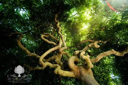 La Valle Del Cristallo Wellness & Charme - 3