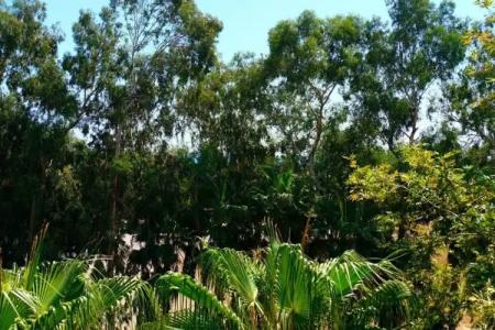 Vega Suites Apart - 33