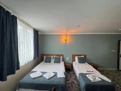 Ersoy Ege Apart Otel - 63