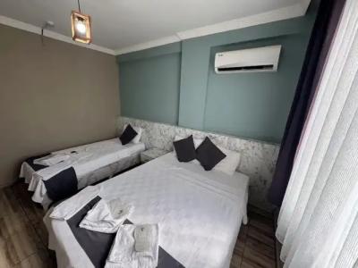 Ersoy Ege Apart Otel - 49