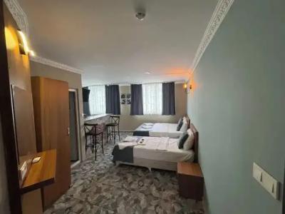 Ersoy Ege Apart Otel - 58