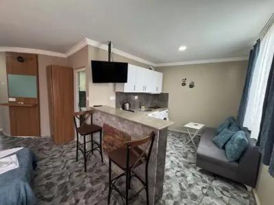 Ersoy Ege Apart Otel - 76