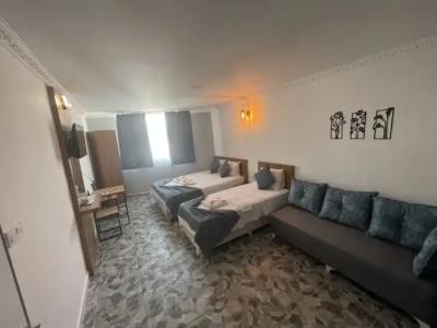 Ersoy Ege Apart Otel - 71