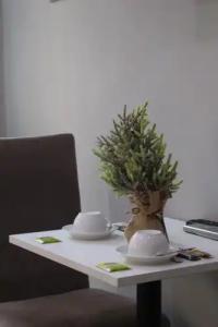 Taxim Starlight - 142