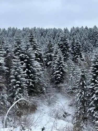 Belvedere-Karpaty-Panorama - 20