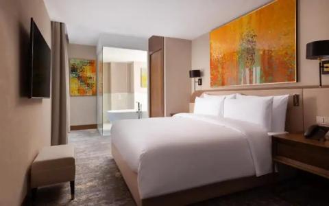 Swissôtel Wellness Resort Alatau - 134