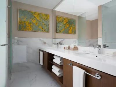 Swissôtel Wellness Resort Alatau - 130