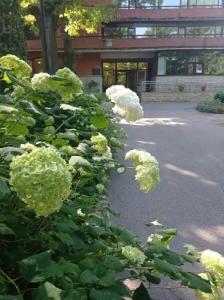 СПб дом-пансионат ветеранов науки РАН - 1