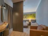 Standard Large Triple room