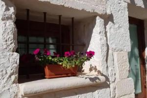 Trullo il Cantastorie, Alberobello