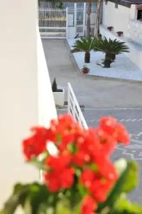 B&B Le due Rose (Pompei) - 14