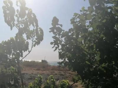 12 senses faliraki sea view - 4