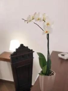 B&B La Melagrana - 26