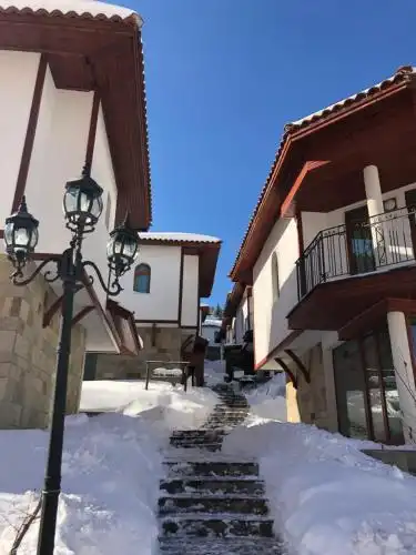 Pamporovo Villa - 15
