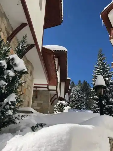 Pamporovo Villa - 17