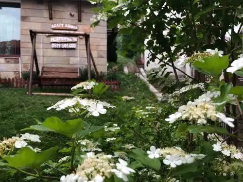 Pamporovo Villa - 8