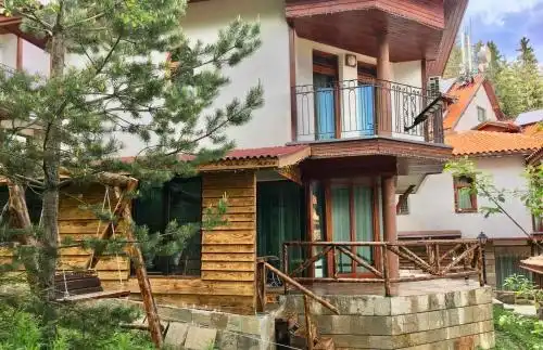 Pamporovo Villa - 4